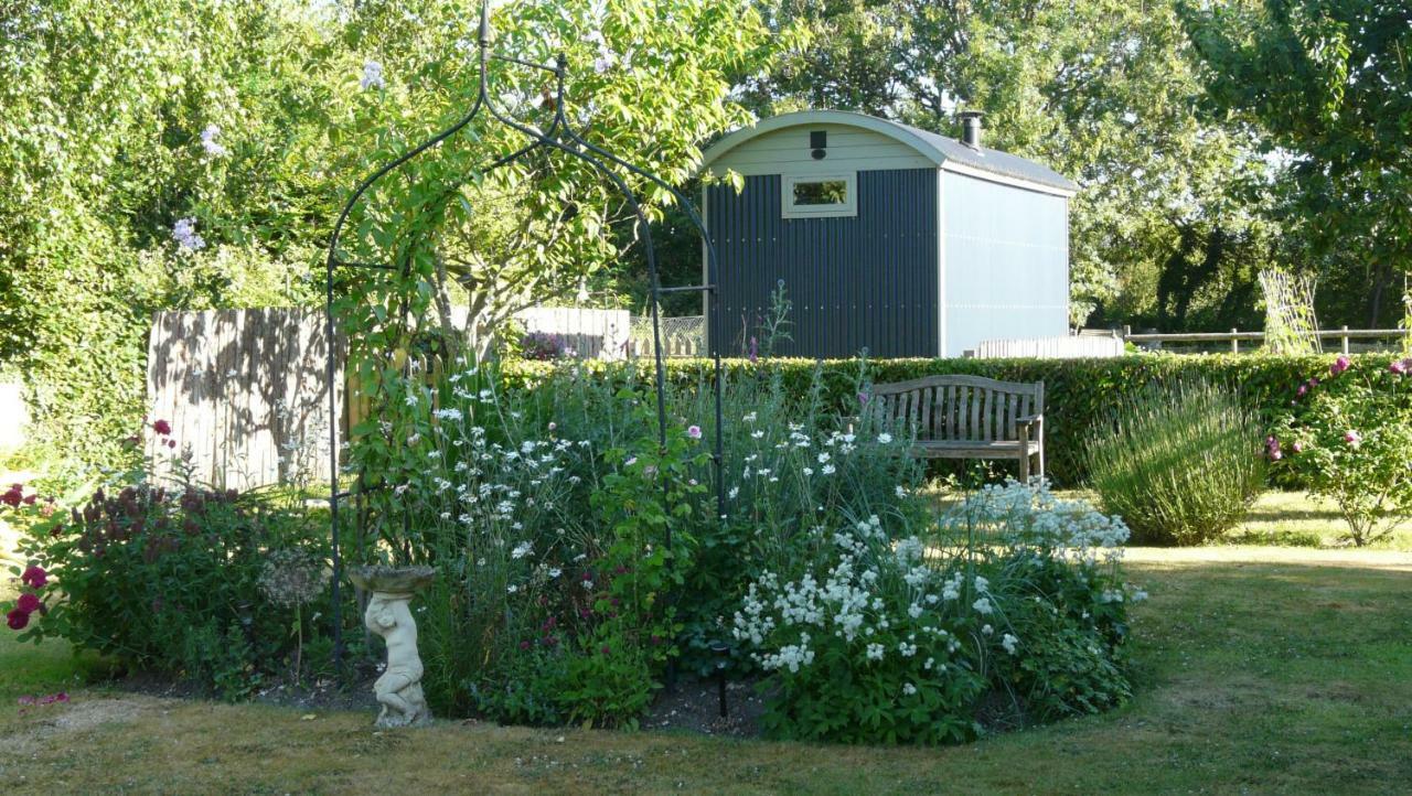 Dolly At Lowlands Ringwood Exterior photo
